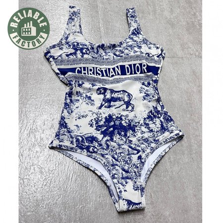Dior One-Piece Swimsuit