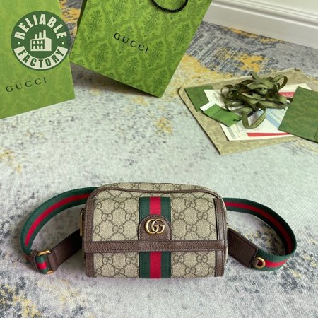 Gucci Ophidia GG Mini Bag