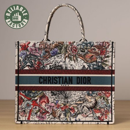 Dior Book Tote Bag