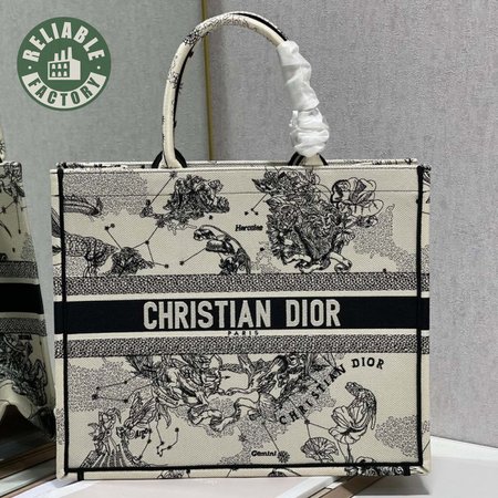 Dior Book Tote