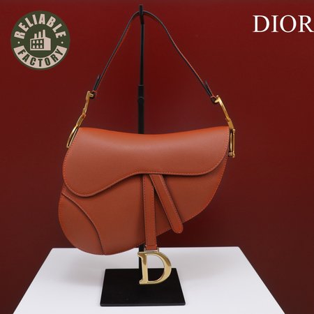 Dior Saddle M0446