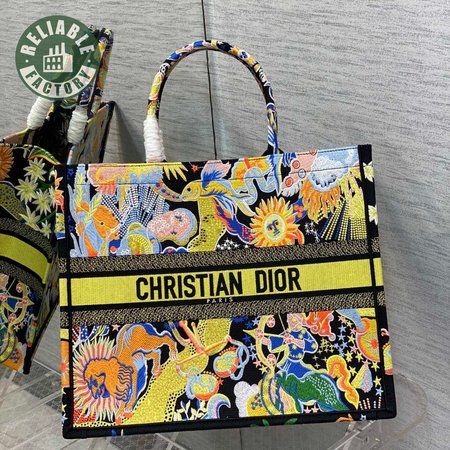 Dior Book Tote